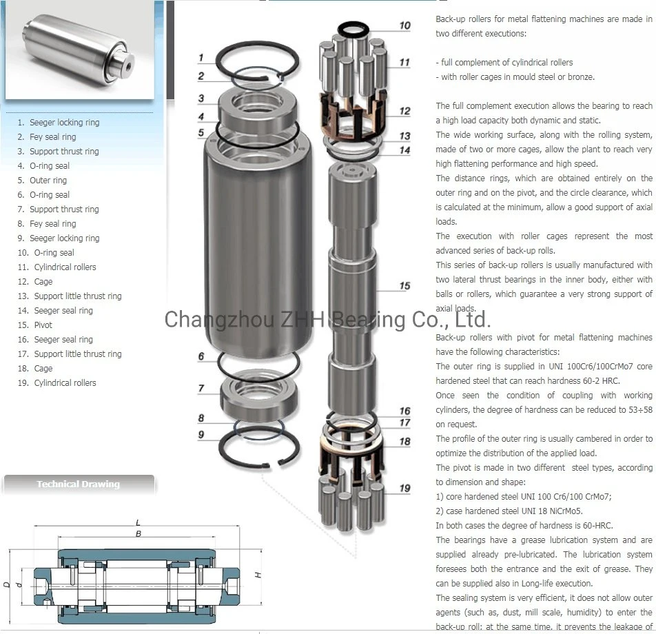 300-0028/300-0029/300-0030/300-0031/300-0032 Libe Back up Roller Bearing